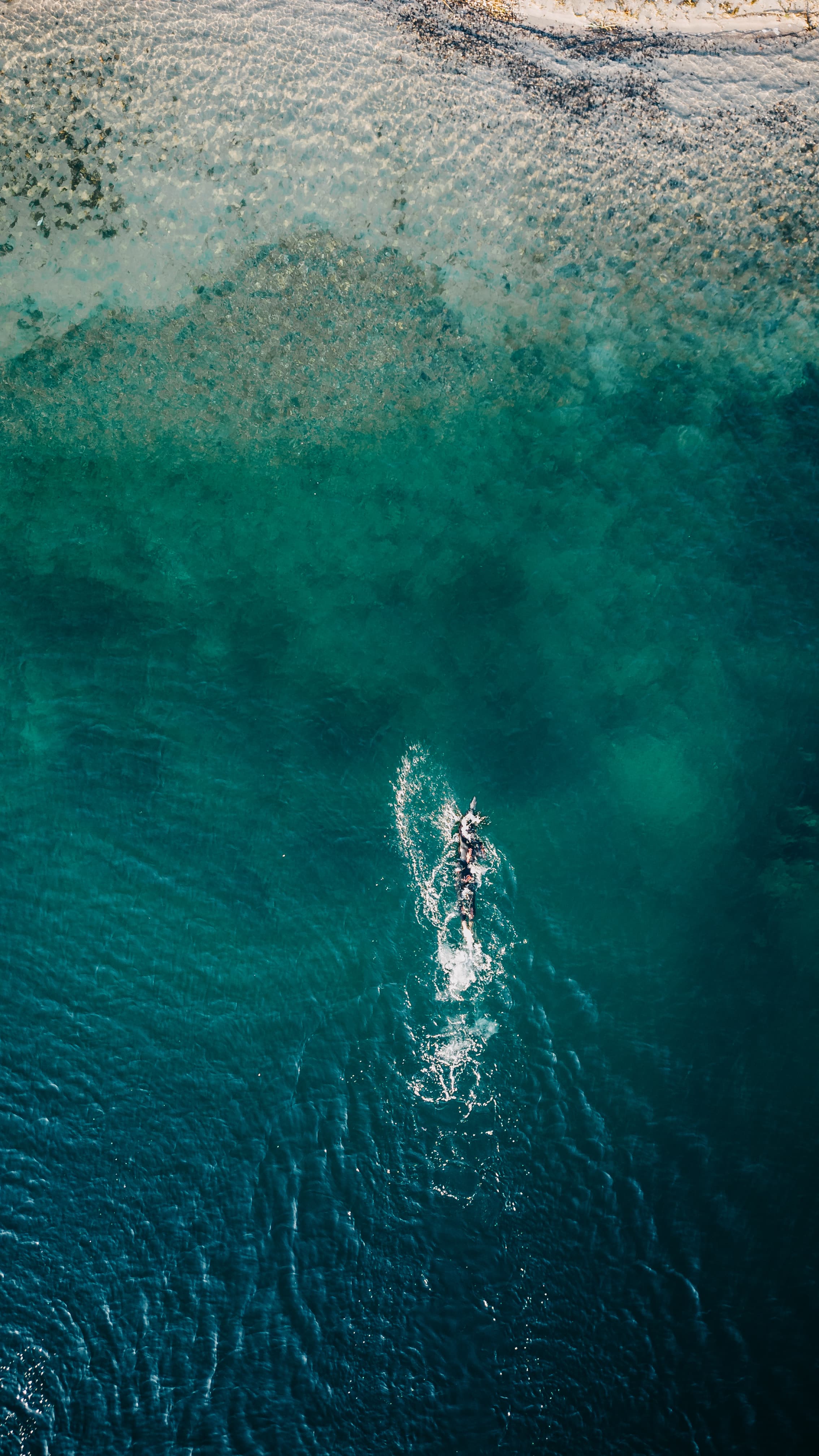 Aerial view of swimmer in turquoise water