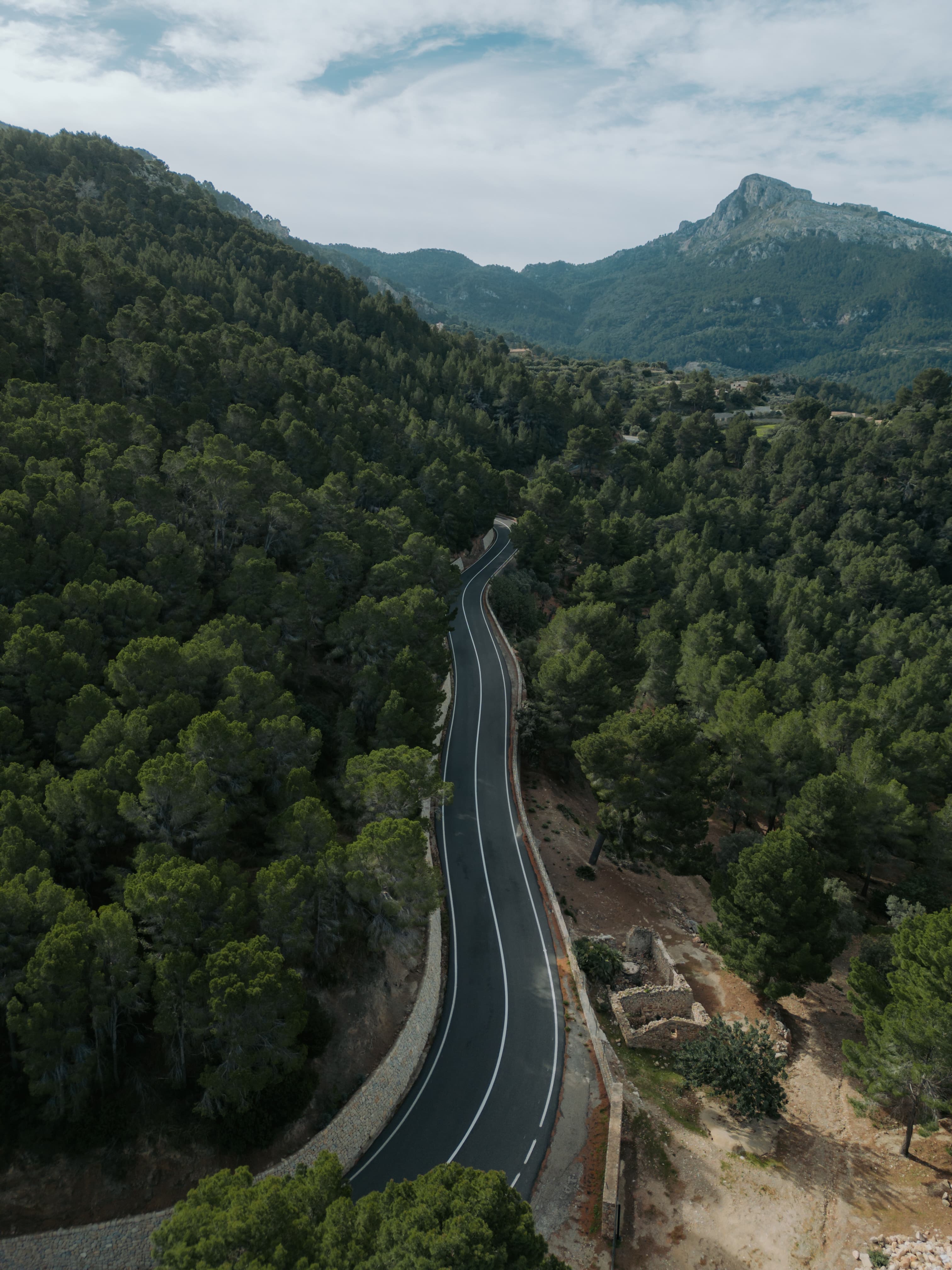 Winding mountain road through forest - the training journey